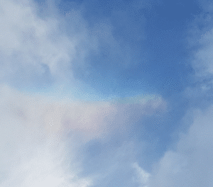 Rouw en verlies verwerken: mijn onbewerkte woorden aan mijn moeder in een gesprek met AI